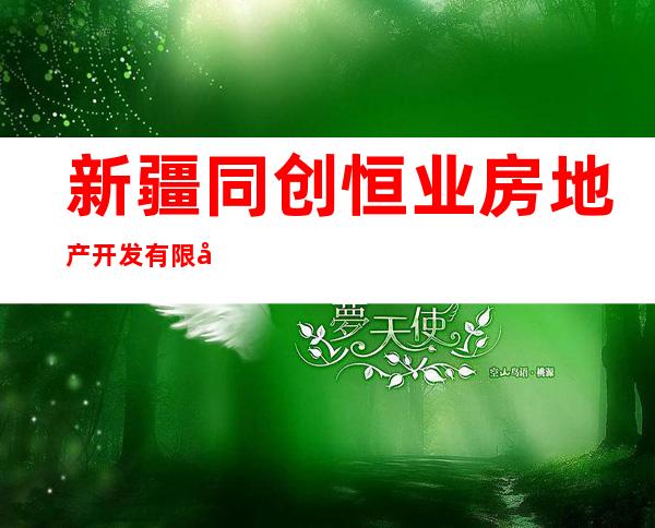 新疆同创恒业房地产开发有限公司